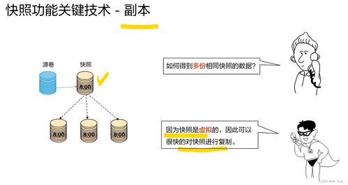 存儲(chǔ)數(shù)據(jù)保護(hù)技術(shù)與應(yīng)用 構(gòu)建可信的數(shù)據(jù)處理與存儲(chǔ)服務(wù)基石