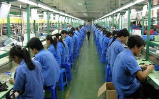 佛山市勞務(wù)市場(chǎng)解析 勞務(wù)派遣、勞務(wù)外包與職業(yè)中介活動(dòng)詳解